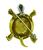 18k Gold Enamel Turtle Pin