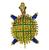 18k Yellow Gold Enamel Turtle Pin