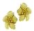 14k Yellow Gold Flower Earrings by Tiffany & Co